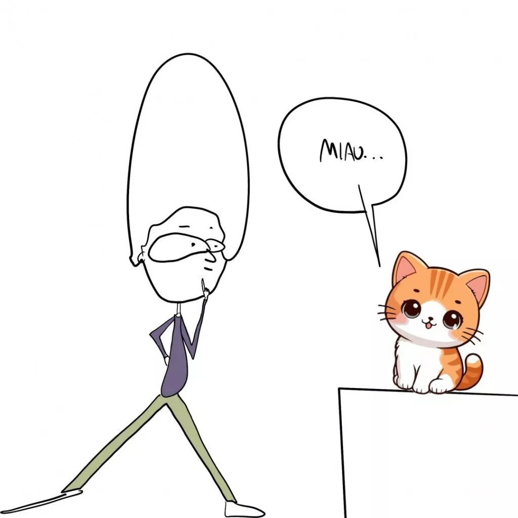 wow